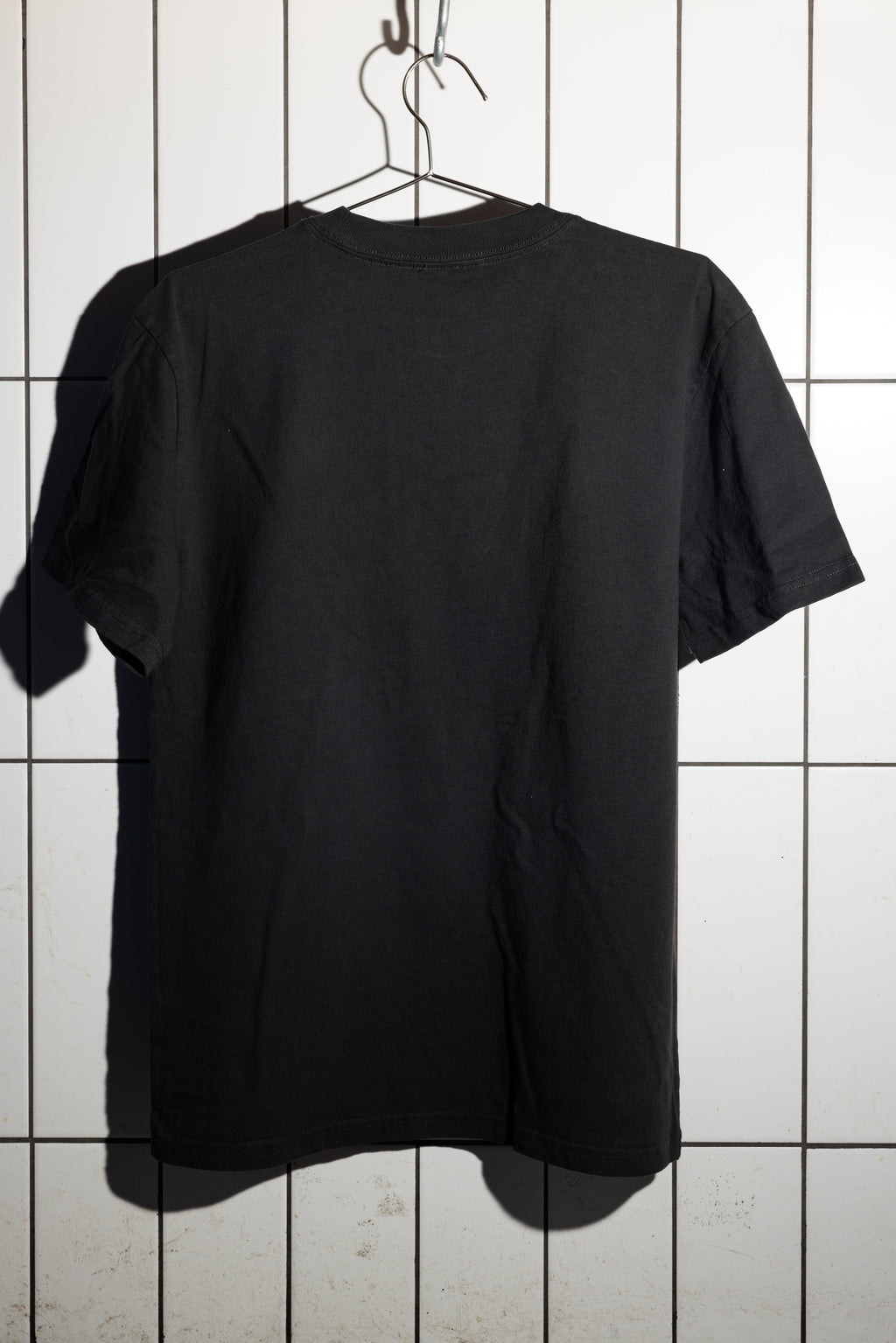 Wingspan Tee